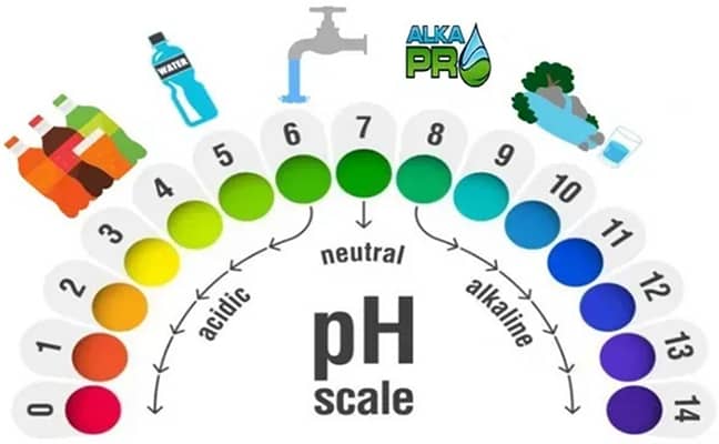 pH Scale pH Scale